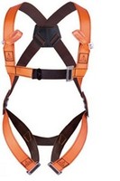 代爾塔 501012雙掛點安全帶 高空作業 ?登山 墜落防護 高承重